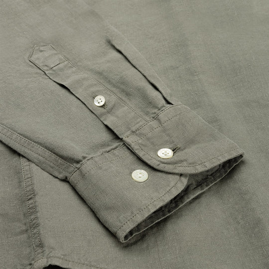 Kaki Hemp